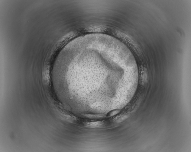 X0000111000312200907101458