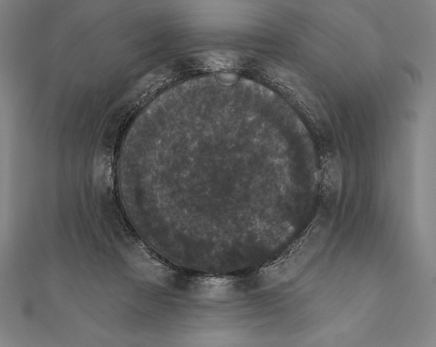 X0000111000313200907101458