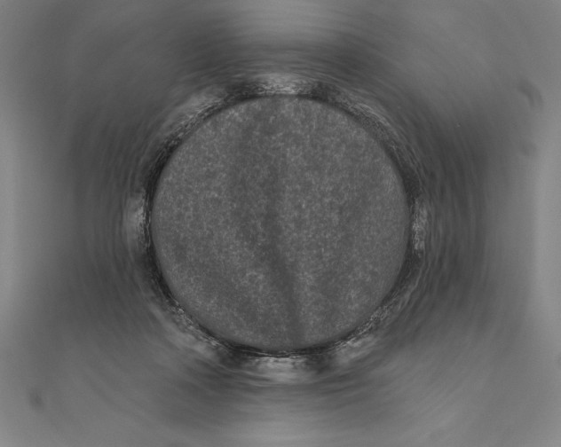 X0000111000314200907101458