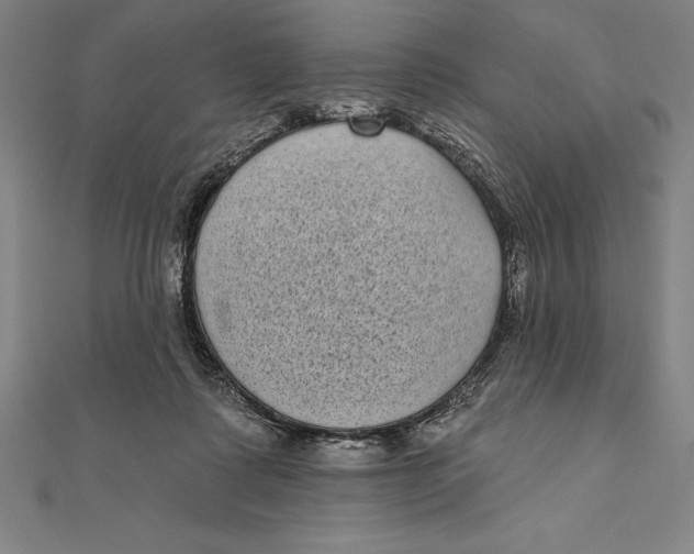 X0000111000315200907101458