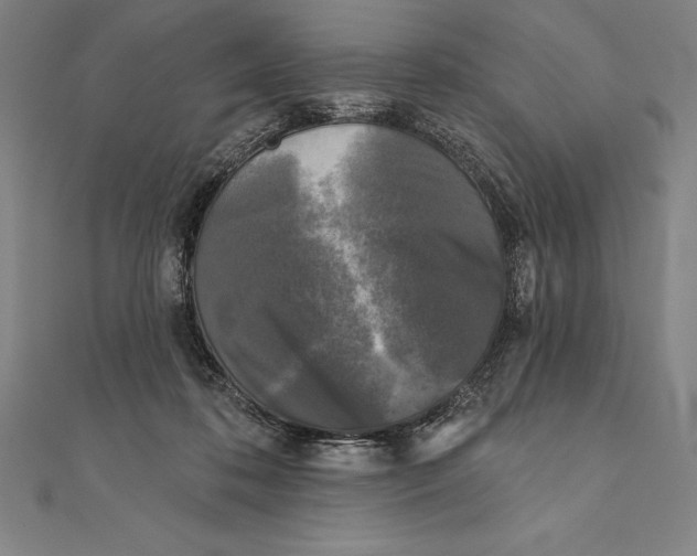 X0000111000316200907101458