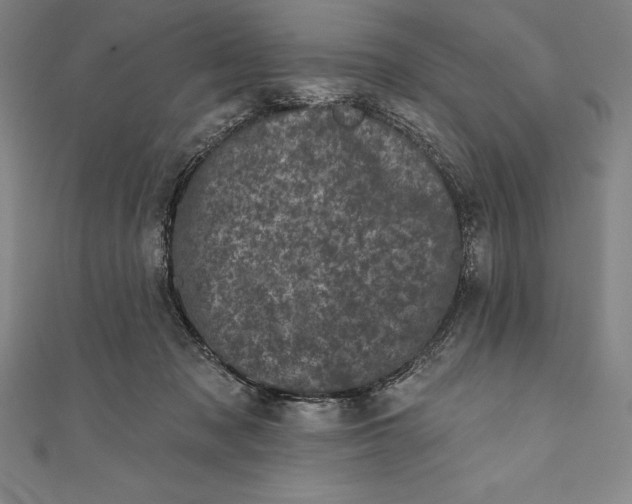 X0000111000317200907101458