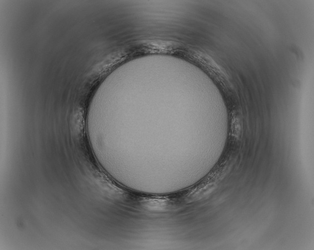 X0000111000318200907101457