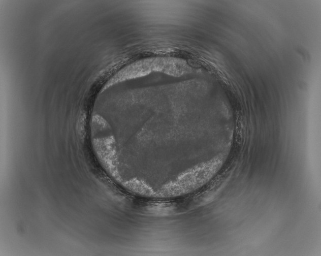 X0000111000319200907101457