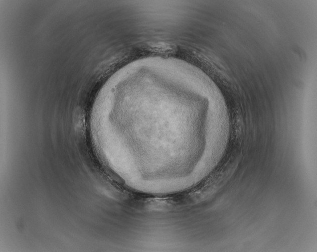 X0000111000320200907101457