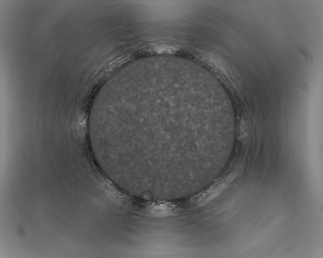 X0000111000321200907101457