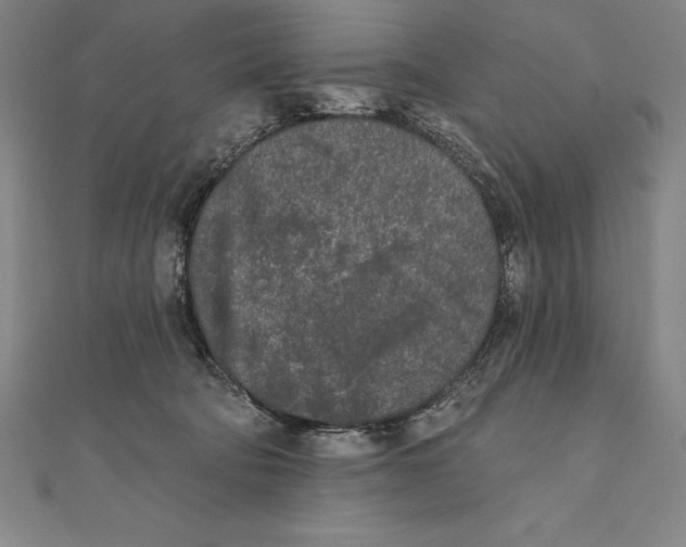 X0000111000322200907101457