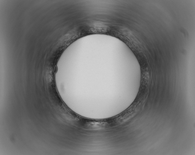 X0000111000323200907101457