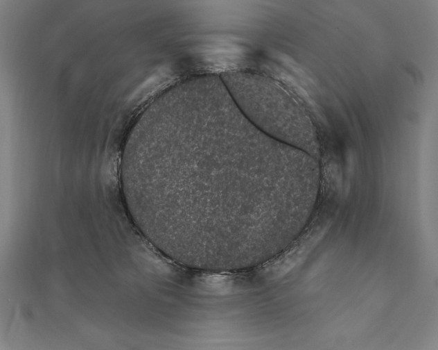 X0000111000325200907101457