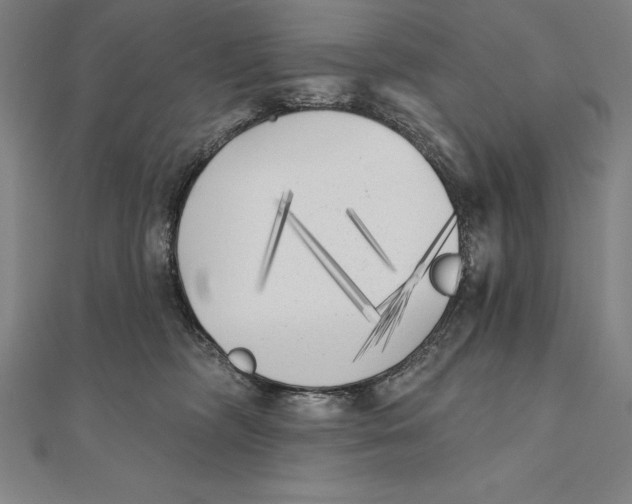 X0000111000326200907101457