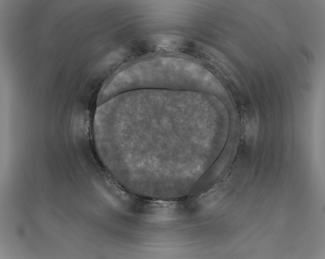 X0000111000328200907101457