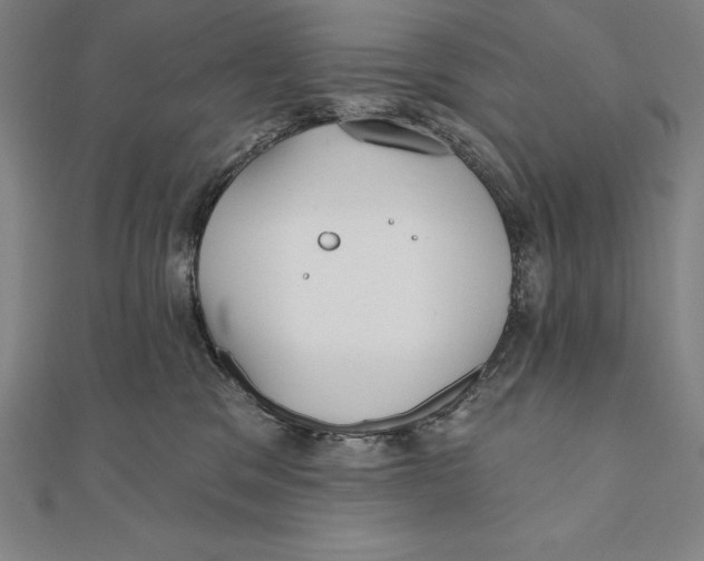 X0000111000329200907101457