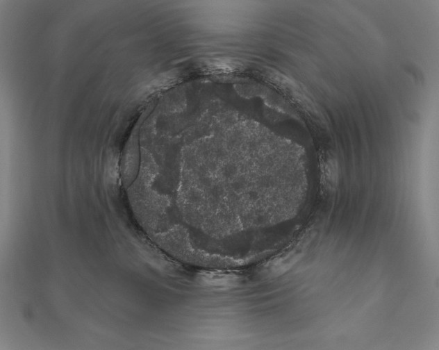 X0000111000331200907101457