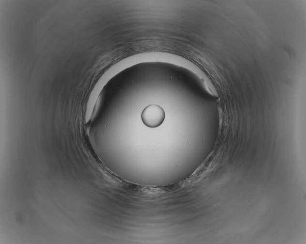 X0000111000333200907101457