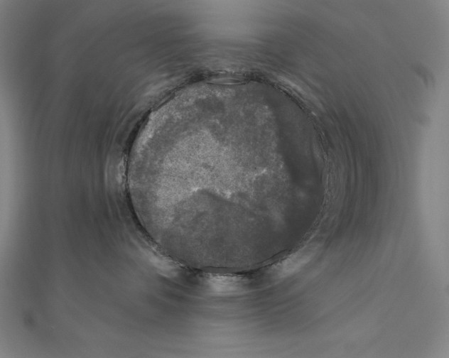 X0000111000336200907101457