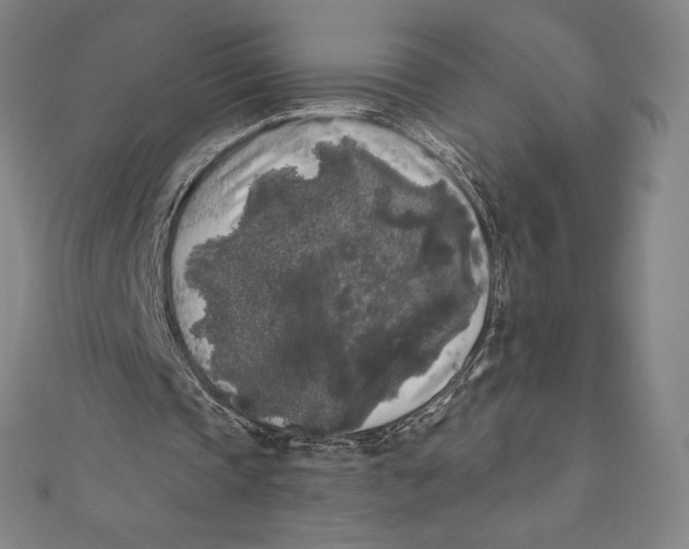 X0000111000337200907101456