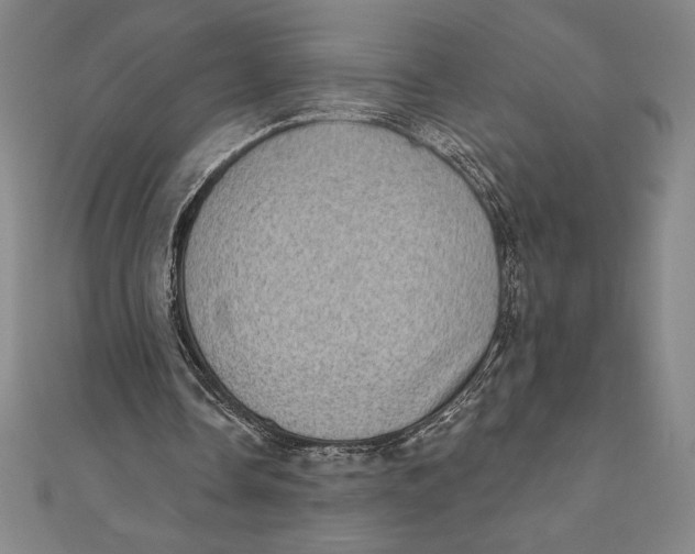 X0000111000338200907101456