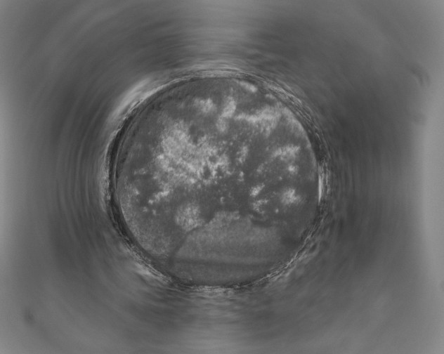 X0000111000339200907101457