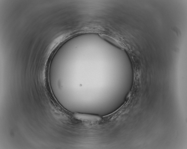 X0000111000340200907101457