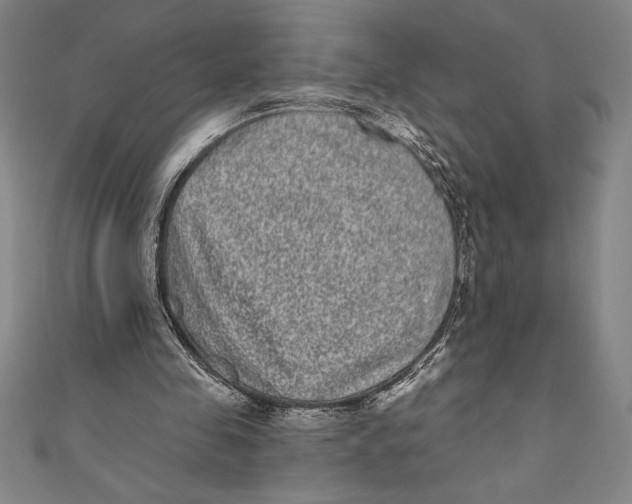 X0000111000341200907101457