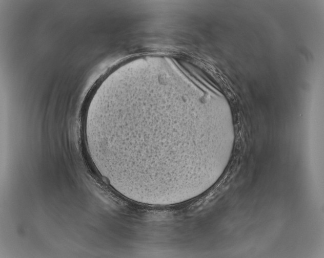 X0000111000342200907101457