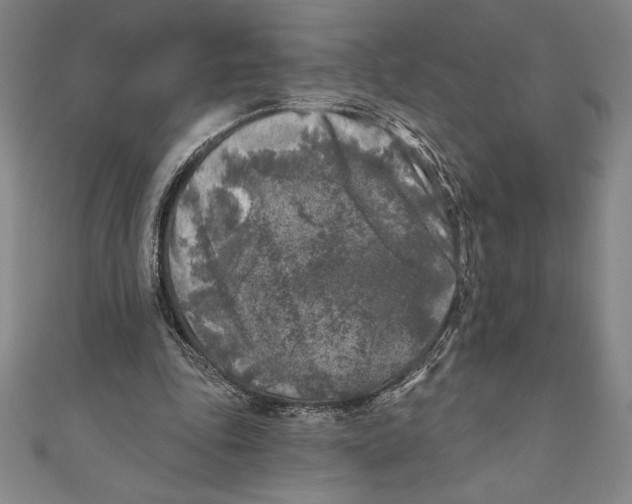 X0000111000343200907101457