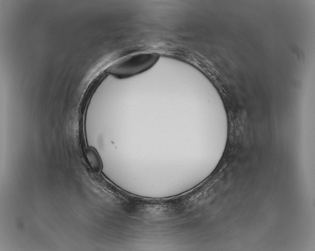 X0000111000344200907101457