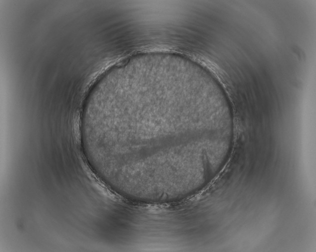 X0000111000345200907101457