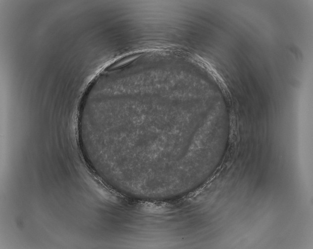 X0000111000346200907101457