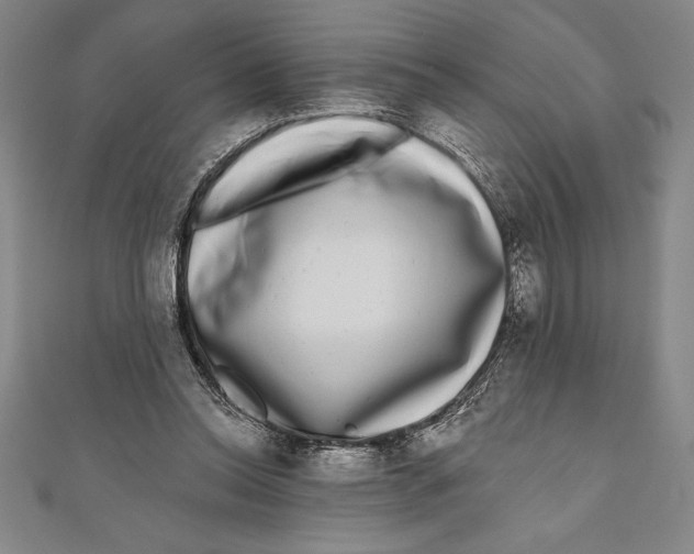 X0000111000350200907101457