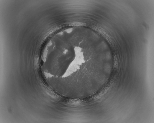 X0000111000351200907101457