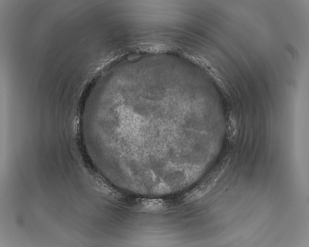 X0000111000355200907101457