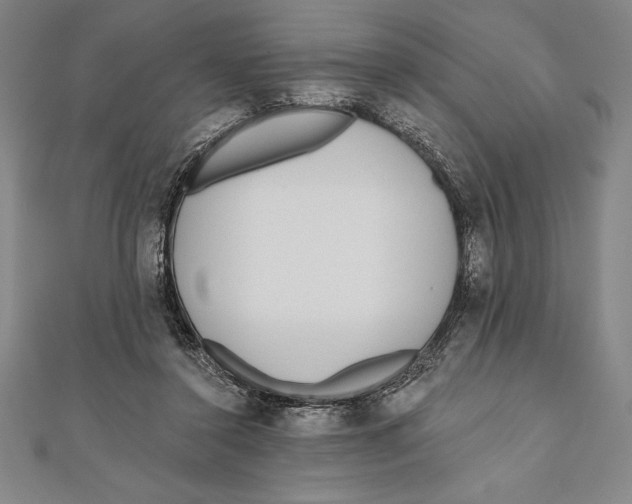 X0000111000356200907101457