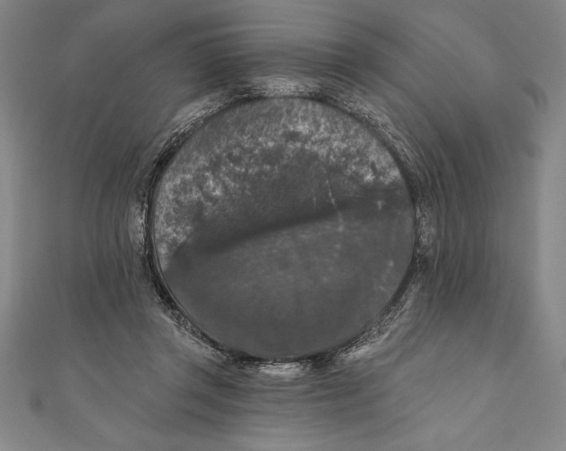 X0000111000357200907101457