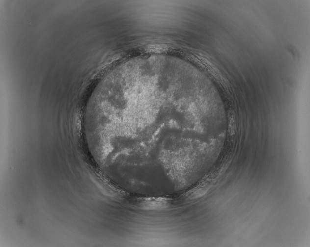 X0000111000363200907101457