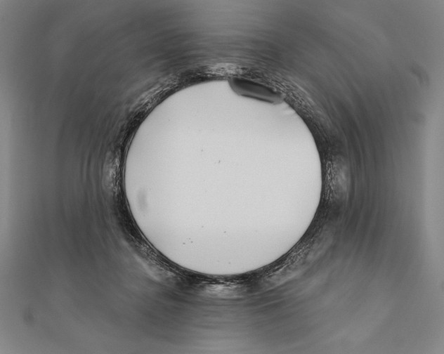 X0000111000364200907101457