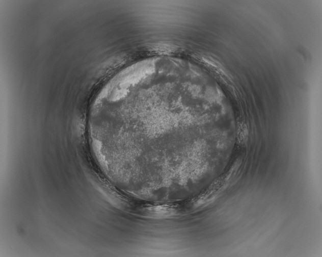 X0000111000365200907101457