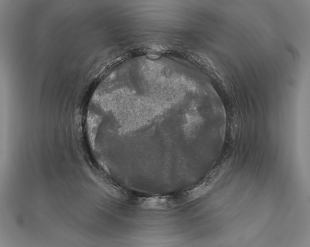 X0000111000366200907101457