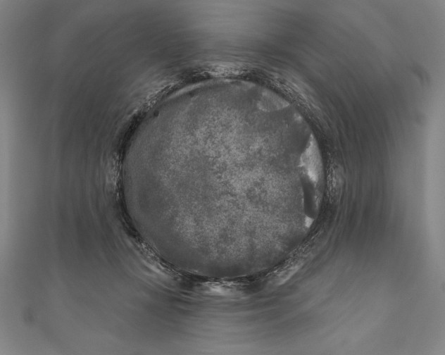 X0000111000367200907101457