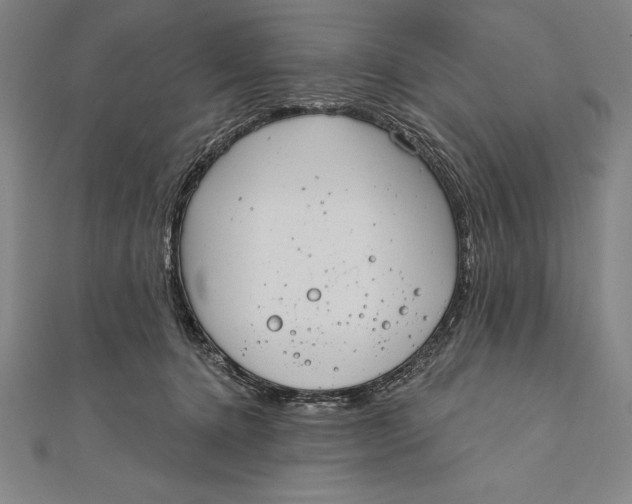 X0000111000368200907101457