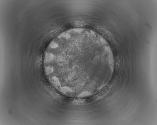 X0000111000369200907101457