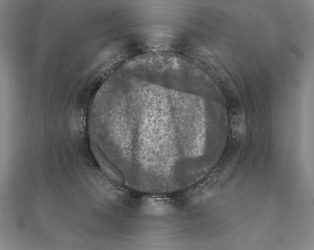 X0000111000372200907101457