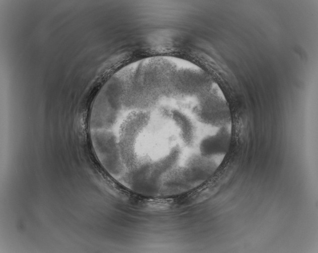 X0000111000373200907101457