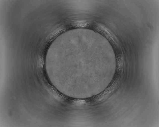 X0000111000374200907101457