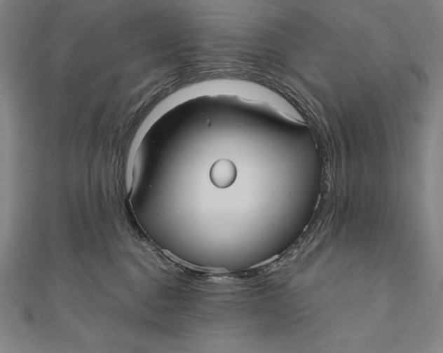 X0000111000376200907101457