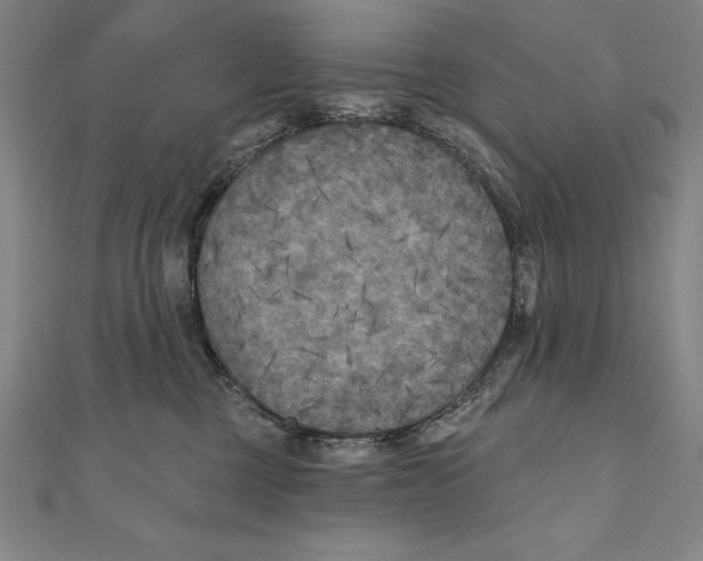 X0000111000377200907101457