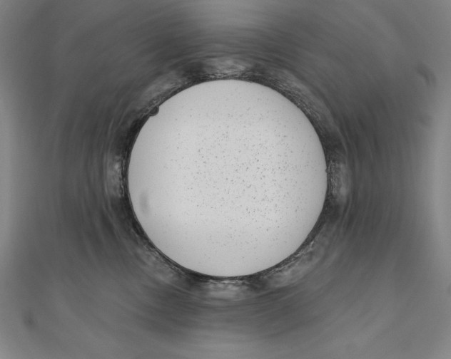 X0000111000378200907101457