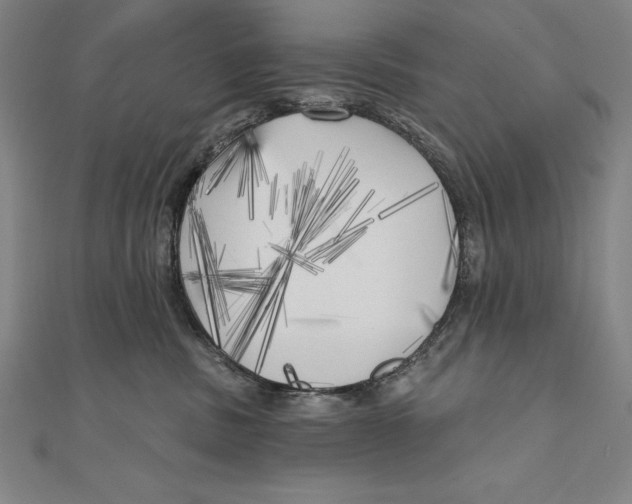 X0000111000379200907101457