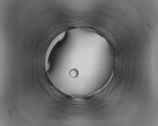 X0000111000380200907101457