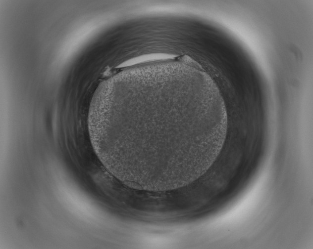 X0000111000382200907101457